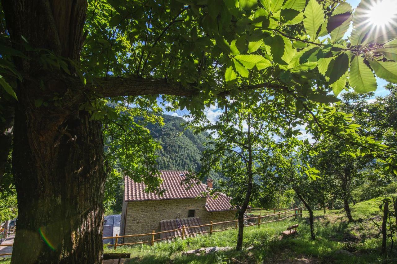 Antichi Sentieri Apartment