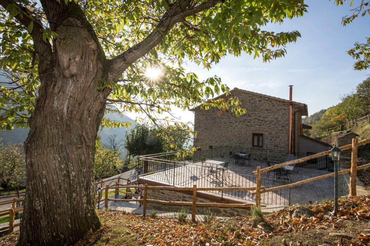 Antichi Sentieri * Serravalle (Bibbiena)