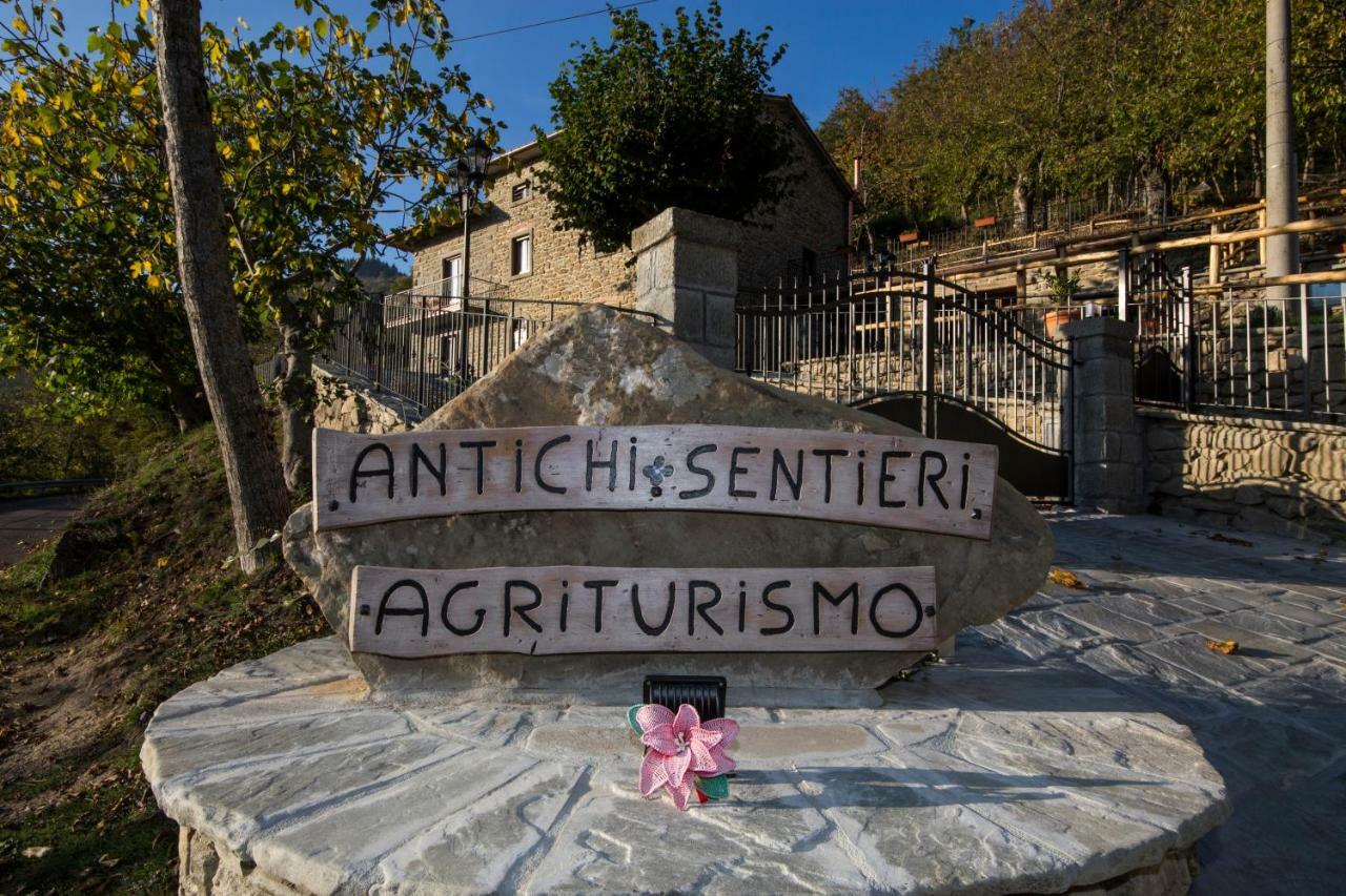 Antichi Sentieri Serravalle (Bibbiena)