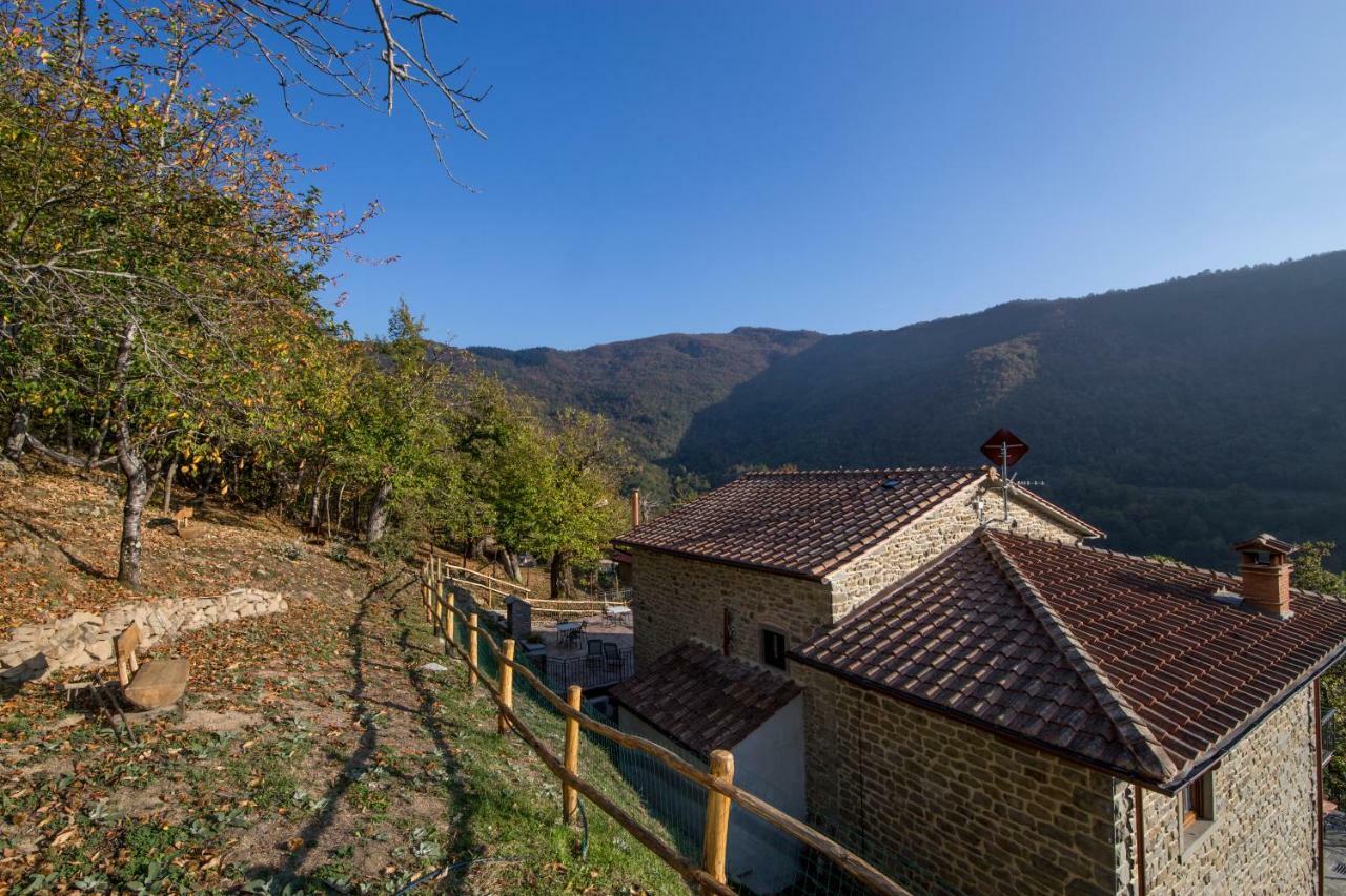 Antichi Sentieri